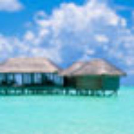 Beeji Restaurant & Bar